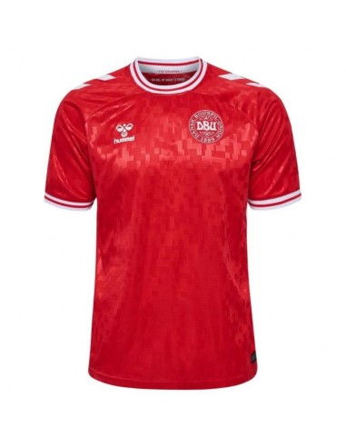 Maillot Danemark Domicile Euro 2024 les muscles