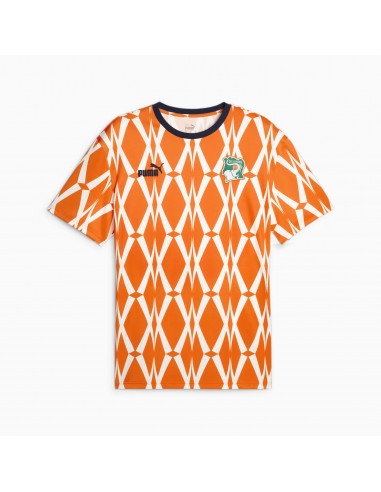 Elfenbeinküste Trikot 2024 FtblCulture en stock